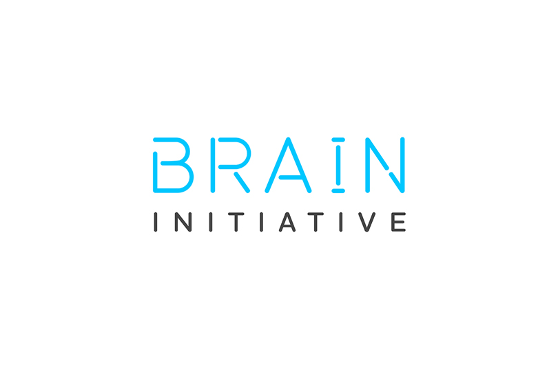 Brain Initiative
